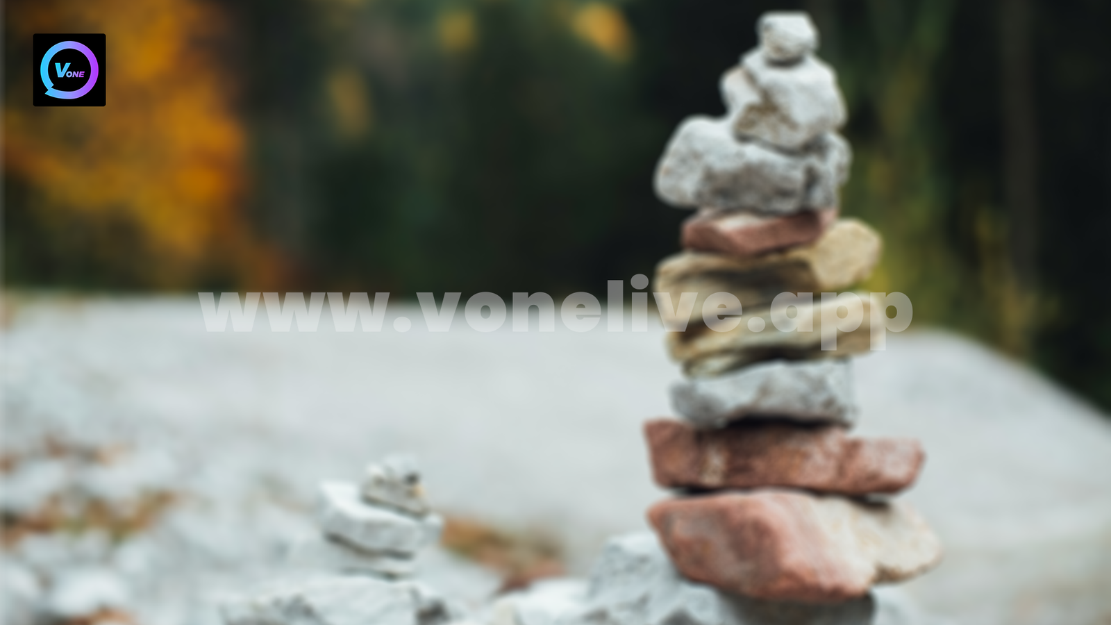Three Signs of a Stable Vone Live Hosts