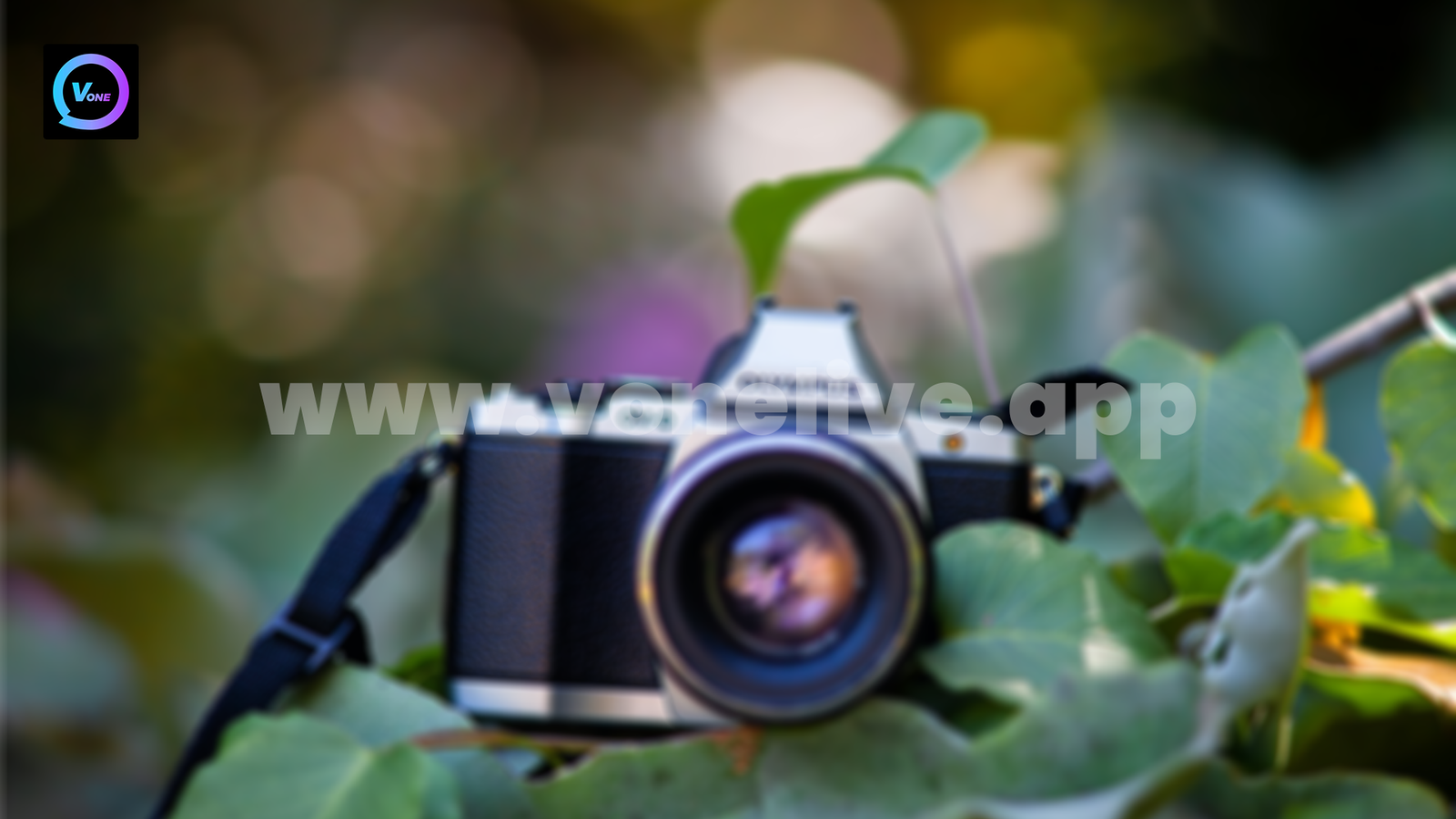 Why Outdoor Streams Can Be Tricky for Vone Live Hosts