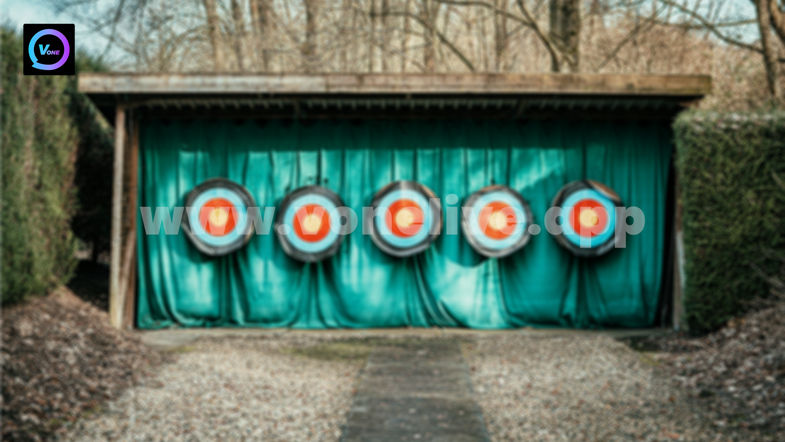 Ways to Help Hosts’ Target as Vone Live Agents